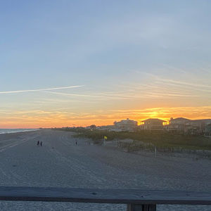 Meet your Posher, Callie